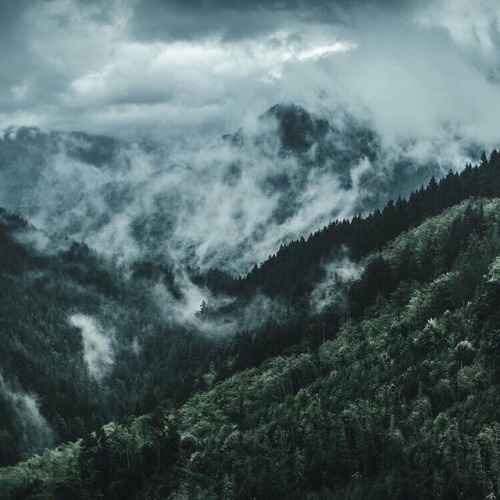 autumnalstars:Dylan Furst