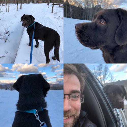 totallydoglife