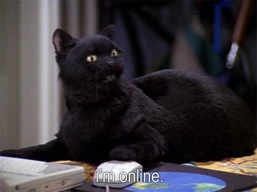 flexibilitas-cerea:Salem Saberhagen, everyone.