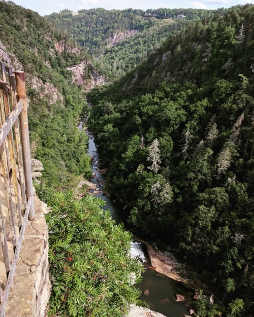 Tallulah Gorge in North GA is a must see! It’s such a fun...