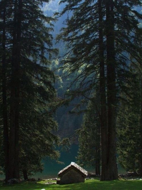 woods forest cabin cabin in the woods cabin in the forest pale indie hipster landscape mountains mountain life wanderlust woodland woodland photography lake into the woods in the forest nature nature lover nature photo photography photographers on tumblr original photographers trees wooden wood outdoors adventure travel travel blog