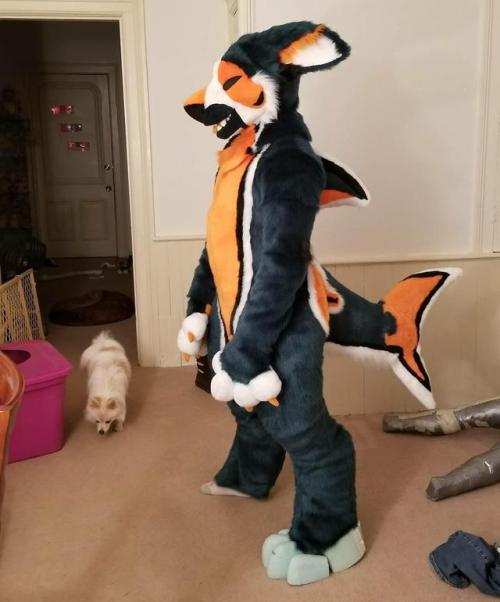 manokit fursuit | Tumblr