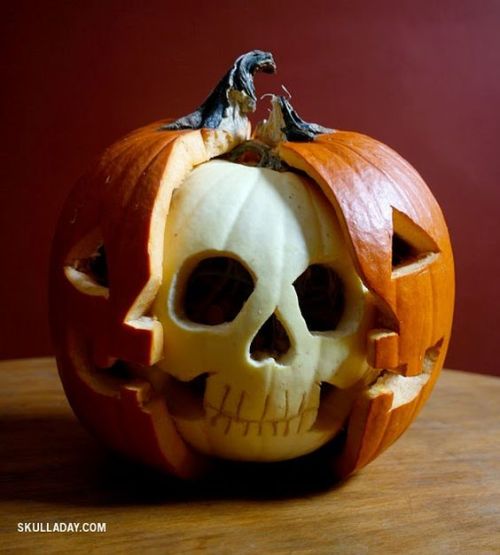 sixpenceee:A pumpkin anatomy skull from here. 