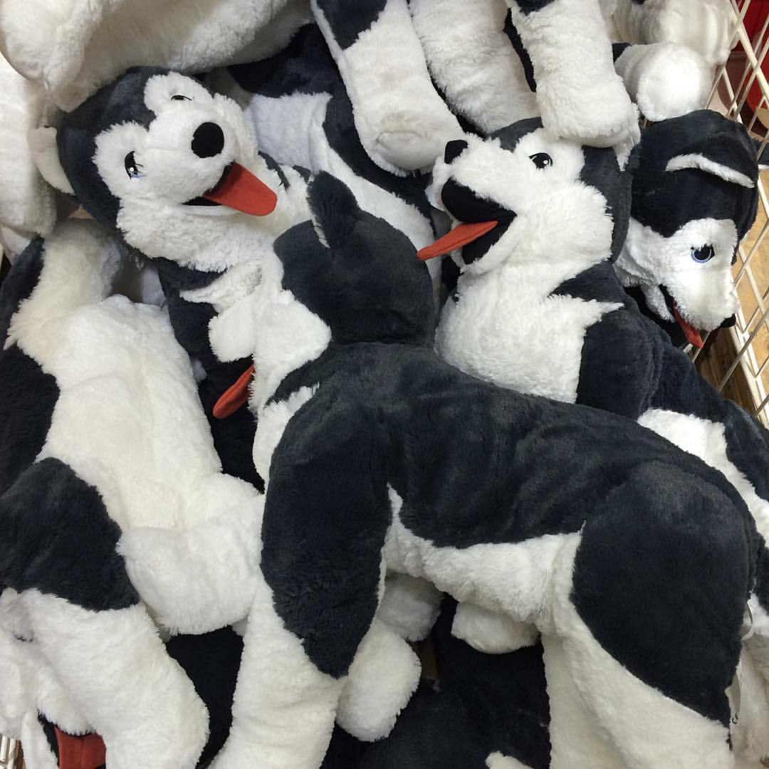 ikea husky teddy