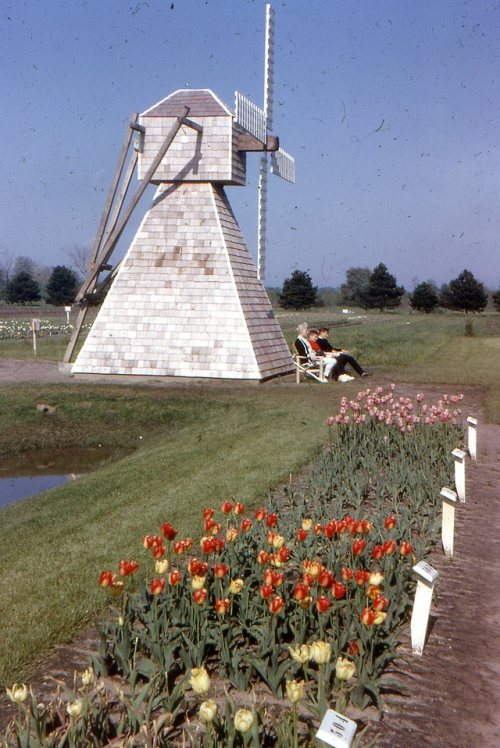 lostslideshows:Nelis’ Dutch Village - Holland, Michigan -...