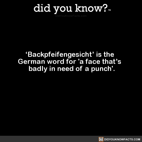 backpfeifengesicht-is-the-german-word-for-a