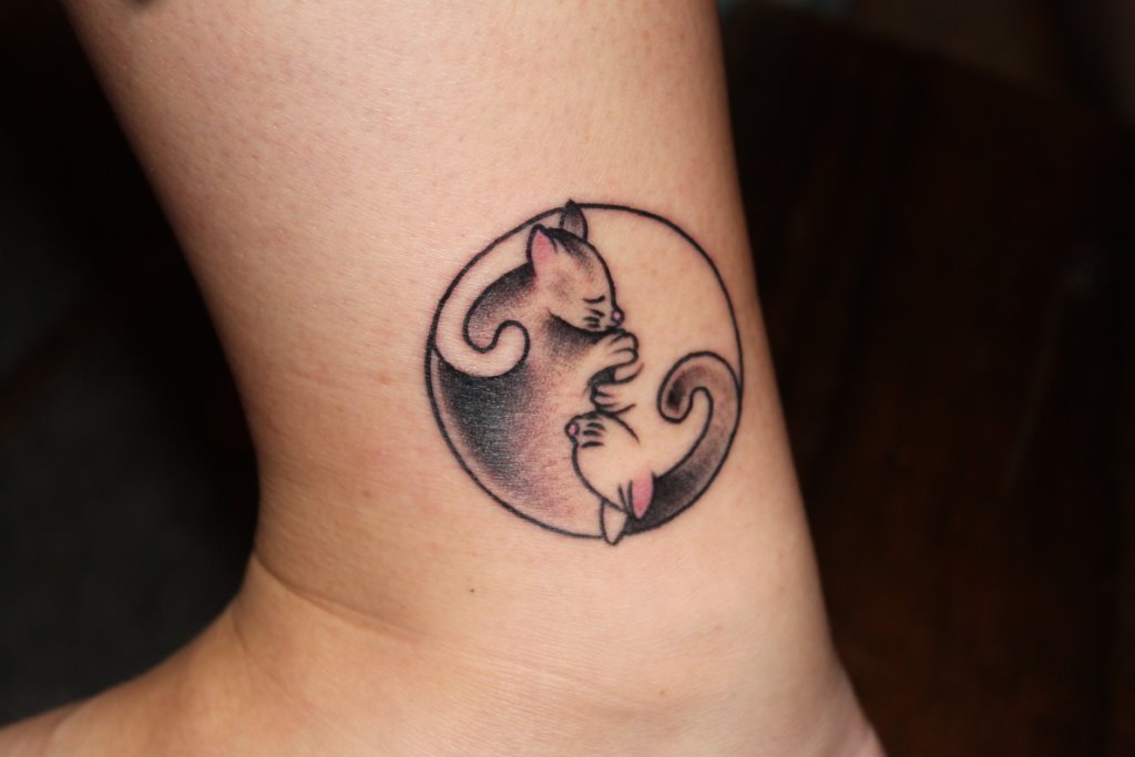 — My beautiful cat yin yang done by Jess Lockard at...