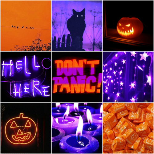 ~Aesthetic blog~ — 🎃 Halloween Aesthetic 🎃