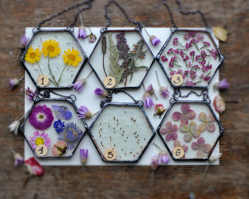 spookyfoxfashion:Hanging Dried Flower Terrariums from MARIAELA