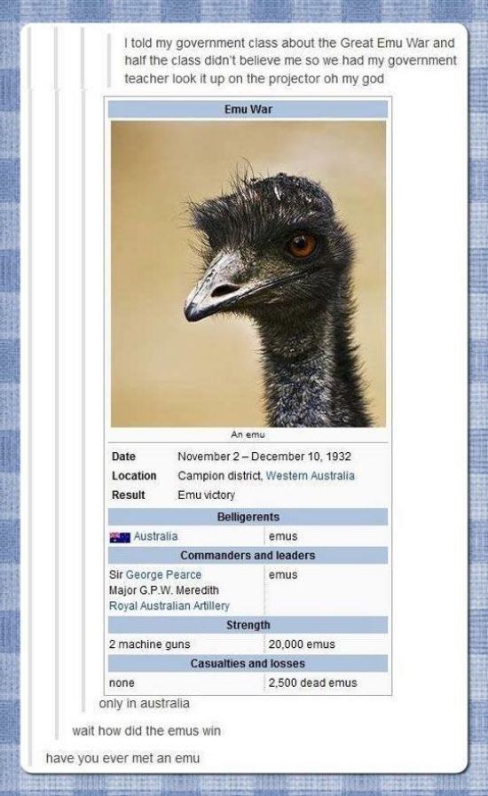 emu australia wikipedia