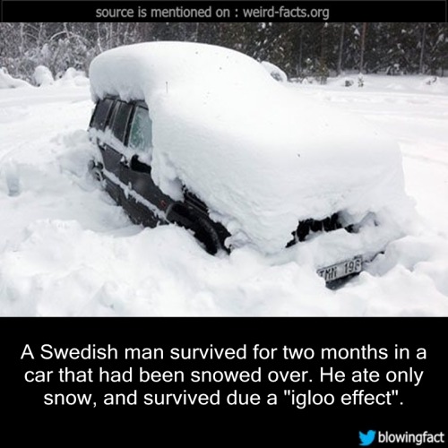 Swedish man survived car snowed igloo effect facts
