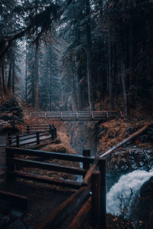 j-k-i-ng:“Fairytale Forest at Sol Duc Falls” by | Erick...