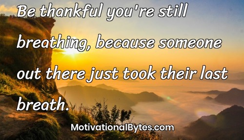 motivationalbytes