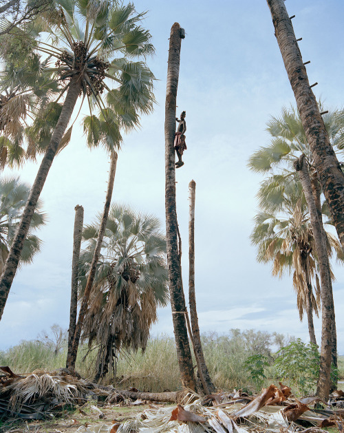 thesoulfunkybrother:- Palm wine collectors , Kunene Region ....