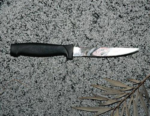 luciferlaughs:Bloody knife Rachel Wade used to kill her...