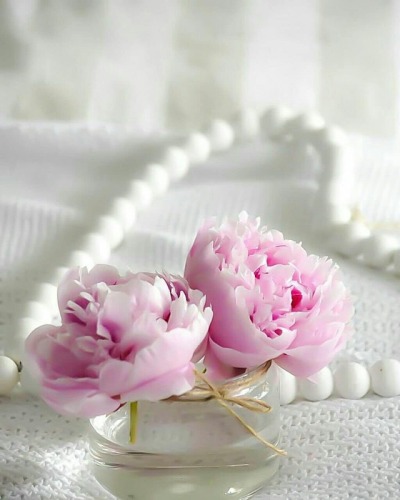 🌿🌸 عَلَى ثِقَةٍ بِوَعْدِ اللهِ عِشْنَا