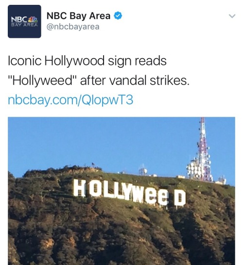 2017 Hollywood sign hollyweed art vandalism funny haha California comedy twitter tweet marijuana meme