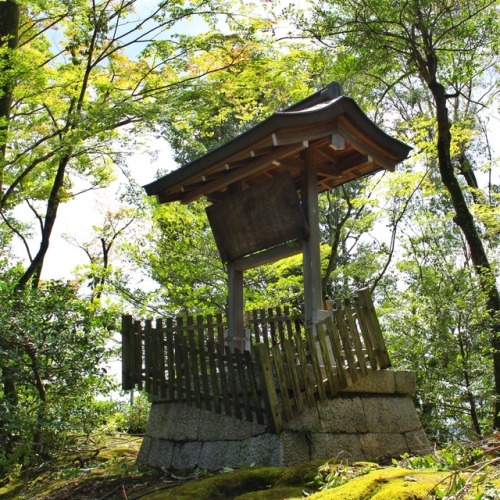 chitaka45:地震後 金閣寺早朝からすばやい復旧作業で拝観できたKinkakuji temple after...