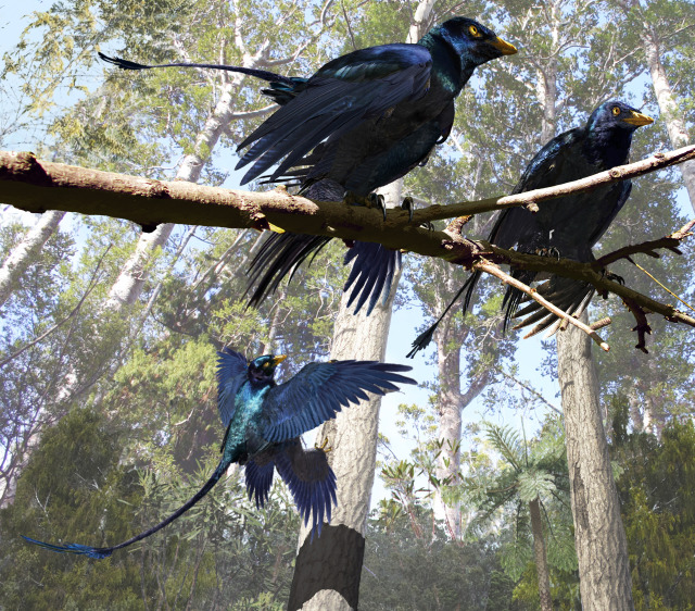 microraptor zhaoianus