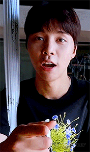 nctmentary