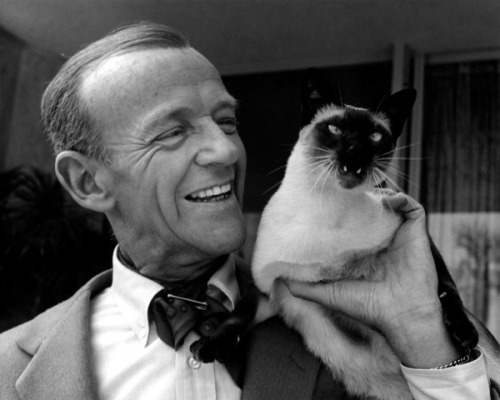 freddie-my-love:Fred Astaire and his cat Carlyle, photographed...