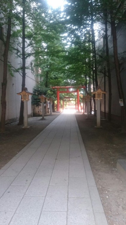 tacoriichi