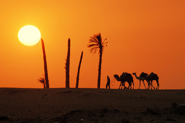 Welcome to the Maghreb - Douz, Tunisia