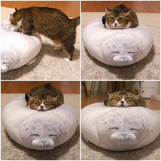 📷 by Pinaple69