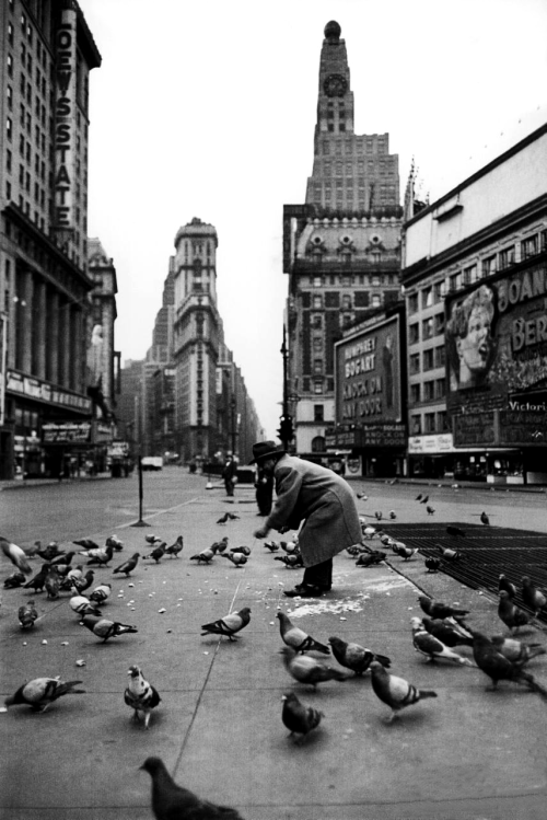 onlyoldphotography:Yale Joel: Man feeding pigeons in an empty...