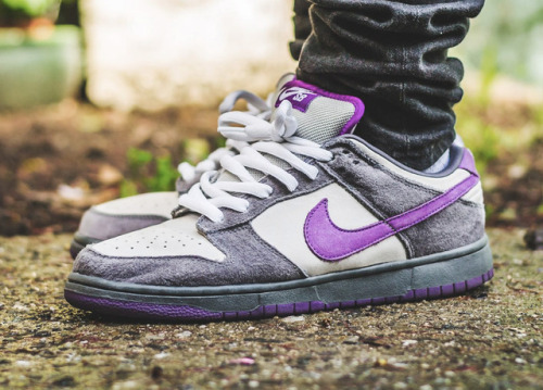 sb dunk purple pigeon