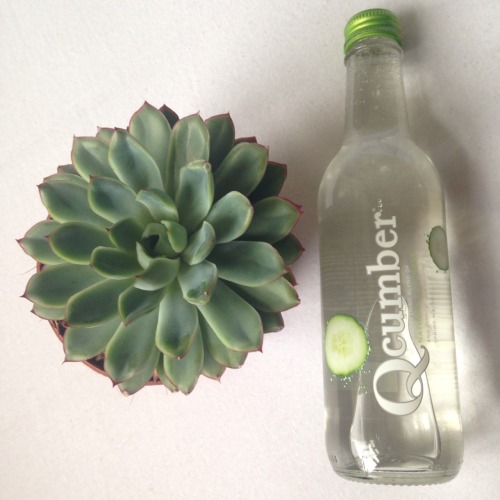 cucumber water on Tumblr