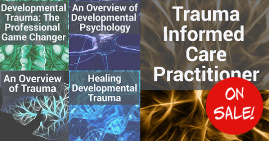 Trauma informed care training