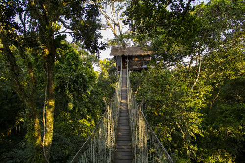 treehauslove:Inkaterra Canopy Treehouse. A treehouse perched...