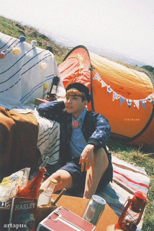 lnkimtae