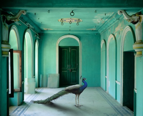 somethingsomedaysomewhere-blog:Karen Knorr - India...