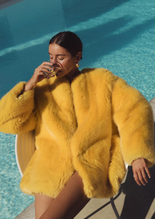 fur boisson julie pelipas