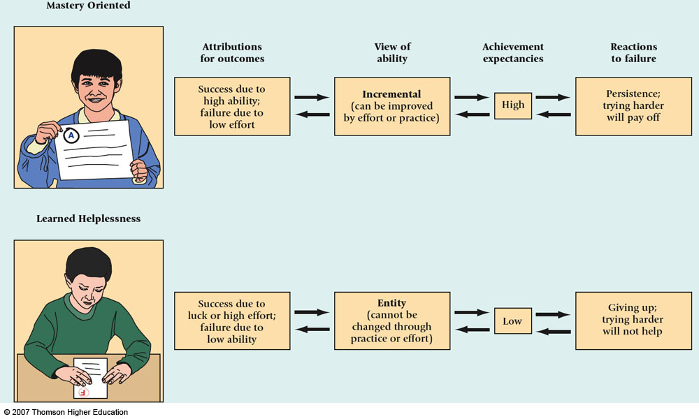Seligman's theory of preparedness