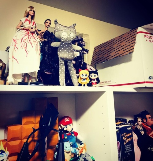 shelfie dollcollection