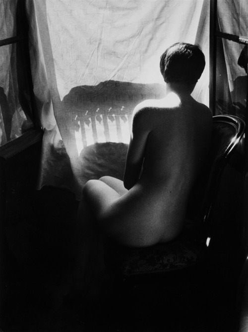 semioticapocalypse:Willy Ronis. Nude in the Southern Suburbs of...