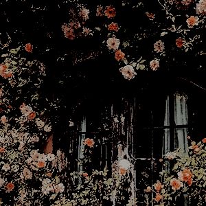 𝑰 𝑺𝑯𝑶𝑼𝑳𝑫 𝑳𝑬𝑻 𝒀𝑶𝑼 𝑲