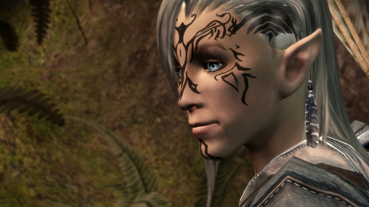dragon age origins override folder