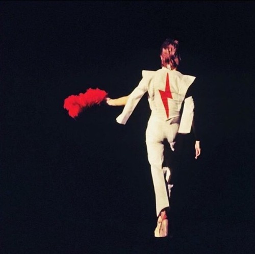 david bowie bowie rip bowie ziggy stardust avant garde rock rock n roll classic rock alternative alternative rock vintage vintage photography singer songwriter 1970s 70s