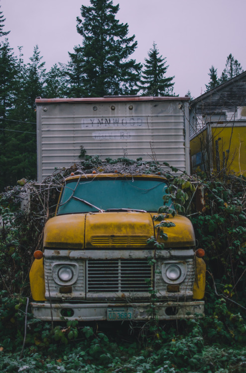 abandoned car on Tumblr