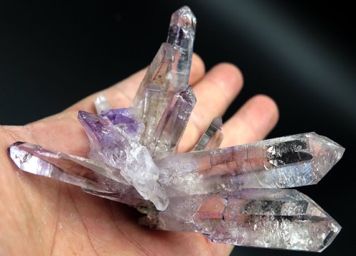 ghminerals:Quality amethyst crystal fan with a scepter...