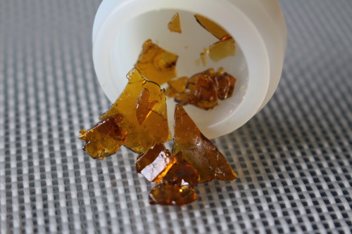 thctara:Blue dream shatter