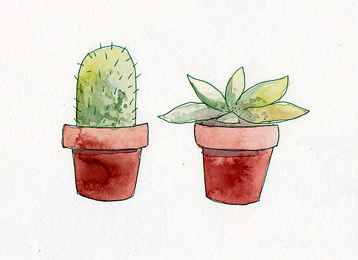 Bethany Christou Tumblr Potted Plants Watercolour