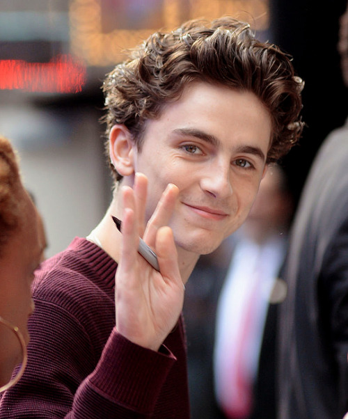 klennnik: TimotheeChalamet - NewYorkCity, October 10,...