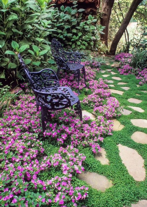 pretty garden on Tumblr