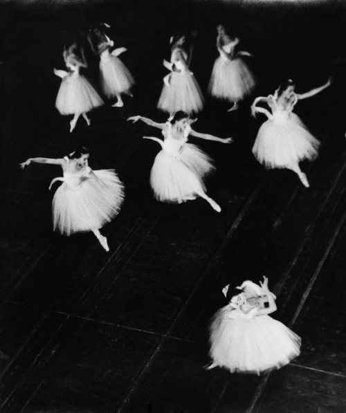 mournfuldukedaisyf:Swan Lake, Stuttgart Ballet, 1954