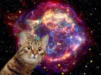 SPACE-CAT | Tumblr